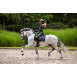 Mrs. Ros SS25 Silhouette Riding Tights Jet Set Logo