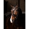 LeMieux Kudos Bridle Patent Dressage