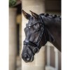 LeMieux Kudos Bridle Patent Dressage