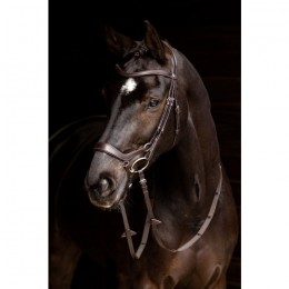 LeMieux Arika Drop bridle
