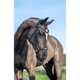 LeMieux Arika Drop bridle