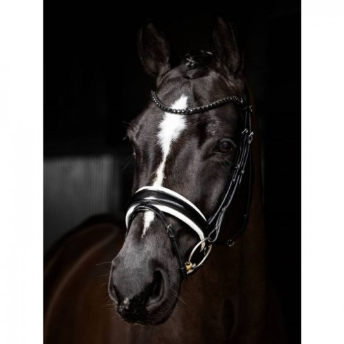 LeMieux Kudos Bridle Patent Dressage