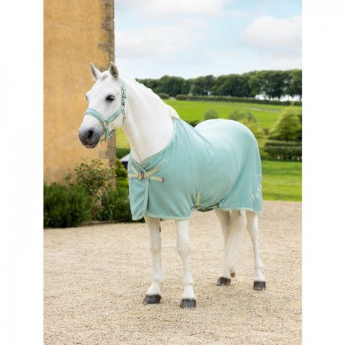 LeMieux SS25 Cooler Kudos Bamboo