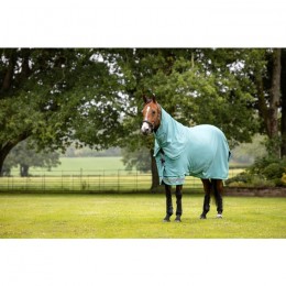 LeMieux SS25 Turnout Rug Arika Ripstop 0 g
