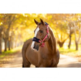 LeMieux AW25 Vogue Halter