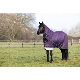 LeMieux AW25 Arika Ripstop 100g Turnout Blanket Juniper