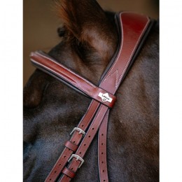 LeMieux CORE Kudos Grackle Bridle Chestnut
