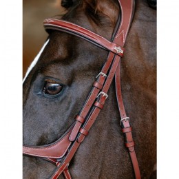 LeMieux CORE Kudos Grackle Bridle Chestnut
