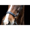 F.R.A. Bitless Bridle Janosch