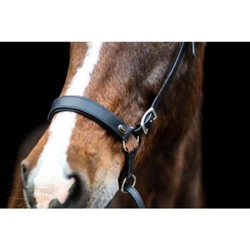 F.R.A. Bitless Bridle Janosch