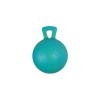 Jolly Ball 25cm with a tasty smell!
