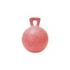 Jolly Ball 25cm with a tasty smell!