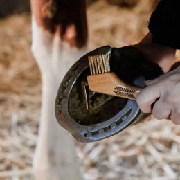 Grooming Deluxe Hoof Pick With Metal Bristles