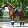 Kavalkade Strass Saddle Pad