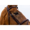 Trust Knokke bridle