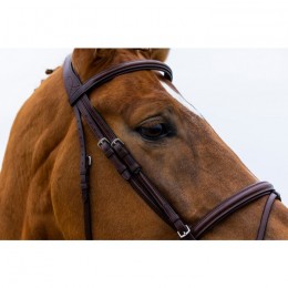 Trust Knokke bridle