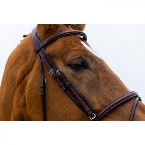 Trust Knokke bridle