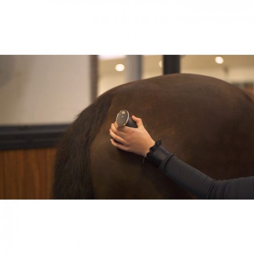 Imperial Riding Massage Brush Volta