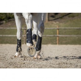 LeMieux Boots Carbon Air XC Hind