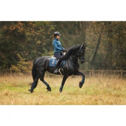 Equestrian Stockholm FW'21 Monaco Blue No Boundaries dressage saddlepad