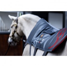 Equilibrium Heatsense Massage Pad