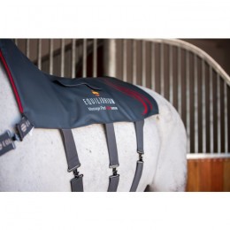 Equilibrium Heatsense Massage Pad