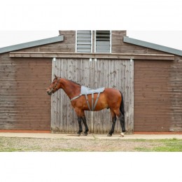 Equilibrium Massage Pad