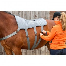 Equilibrium Massage Pad