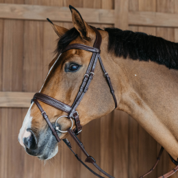 Dyon Plaited Flash Noseband Bridle with Pull back New English Collection