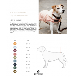 Kentucky Dog Coat Waterproof Coral