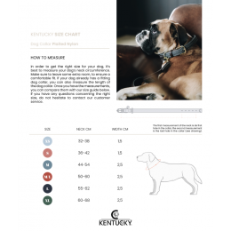 Kentucky nylon plaited dog collar