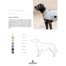 Kentucky Dog rain coat