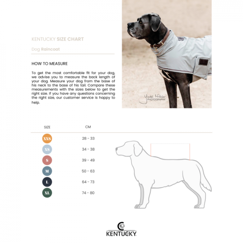 Kentucky Dog rain coat