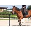 Pivo Pod Active