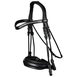 Dyon double bridle and round-stitched
