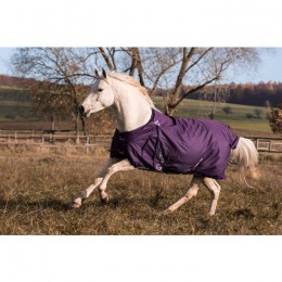 MASTER Winter rug metallic plum 400g