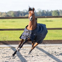 MASTER Winter Rug 600D 300g Navy