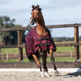 Master Outdoor Rug 600D 100g Fig