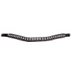 PresTeq Browband FaySport Glitter