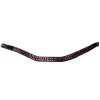 PresTeq Browband FaySport StarGlow