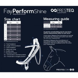 PresTeq Weymouth Bridle FayPerform Shine