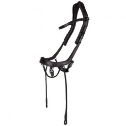PresTeq Bitless Bridle FaySport