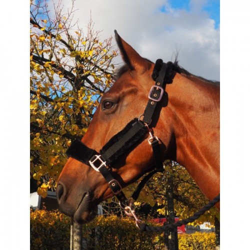 HB Halter Rose Gold Teddy