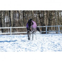 Weatherbeeta ComFiTec Plus Dynamic Standard Lite 0g Purple/Black