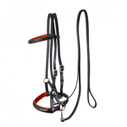 F.R.A. Bitless Sidepull bridle Pardoes de Luxe