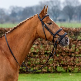 Trust Paris bridle double noseband
