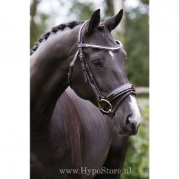 Premiera "Milano" Brown bridle with anatomically shaped headpiece and patent leather noseband, gold buckles
