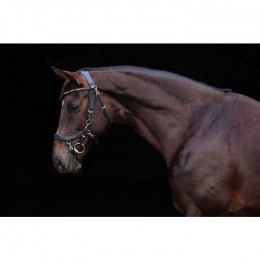 PresTeq FaySport Throat latch