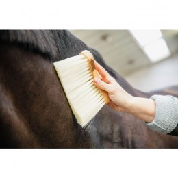 Grooming Deluxe Middle Brush Long Natural