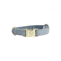 Kentucky Dog Collar Wool